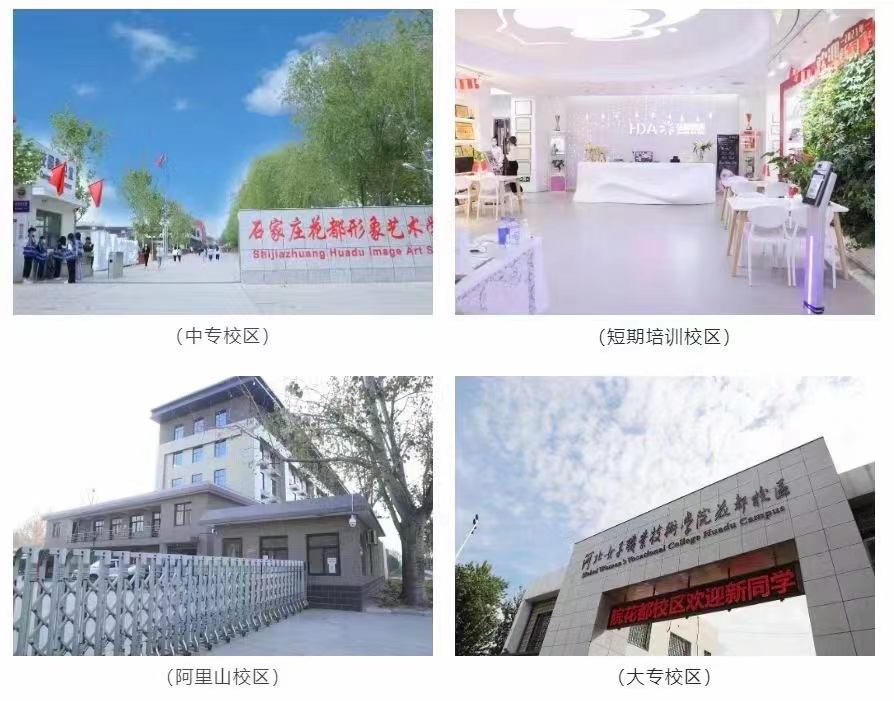 ʯ��ׯ������������ѧУ2026����������